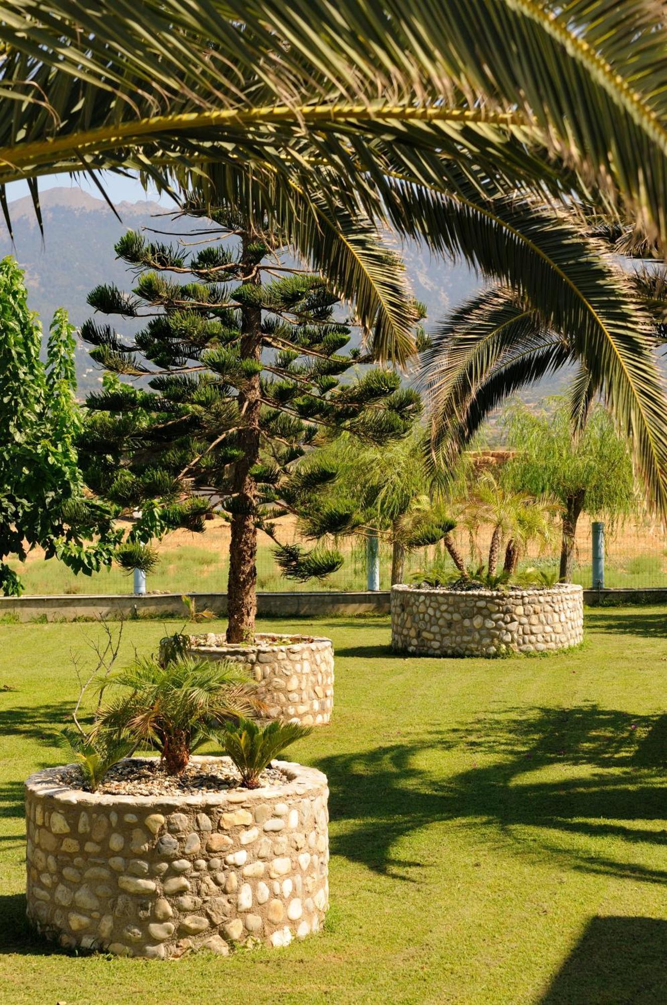 Akti Dimis Hotel Tigaki Exterior foto